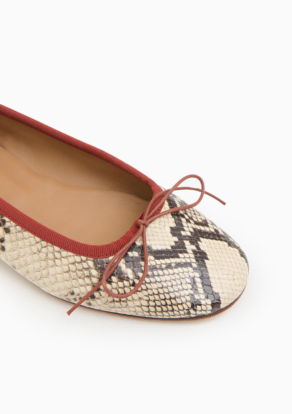 Dance Ballerina | Roccia/Pomodoro