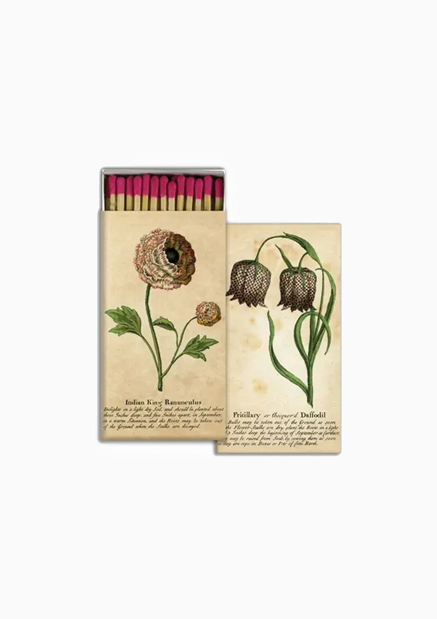 Matches, Ranunculus & Daffodill
