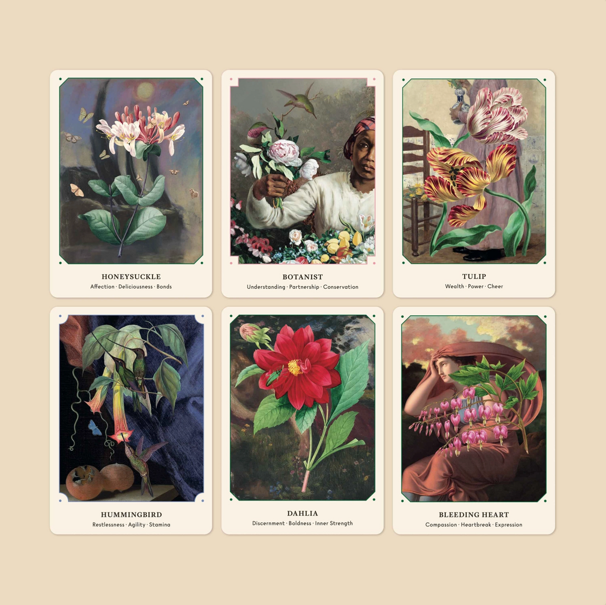 The Flower Oracle: 44 Card Deck And Guidebook