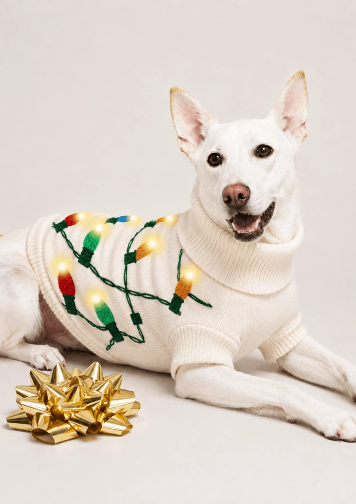 Vintage Lights LED Dog Sweater