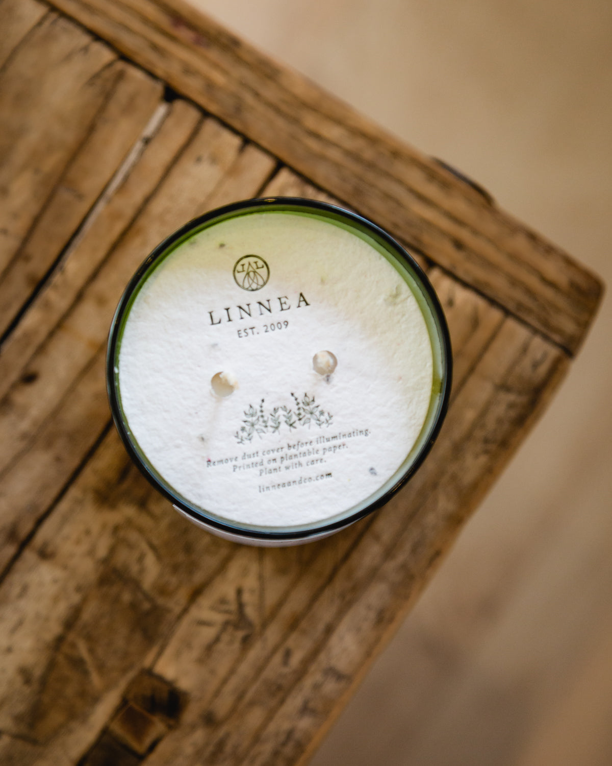 Crushed Mint Double Wick Candle