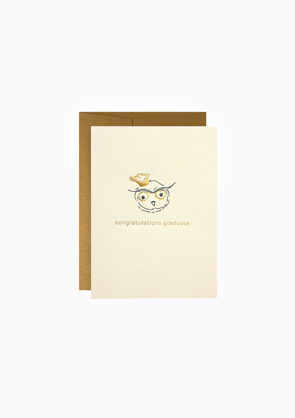 Greeting Card, Adorable Owl/Graduate