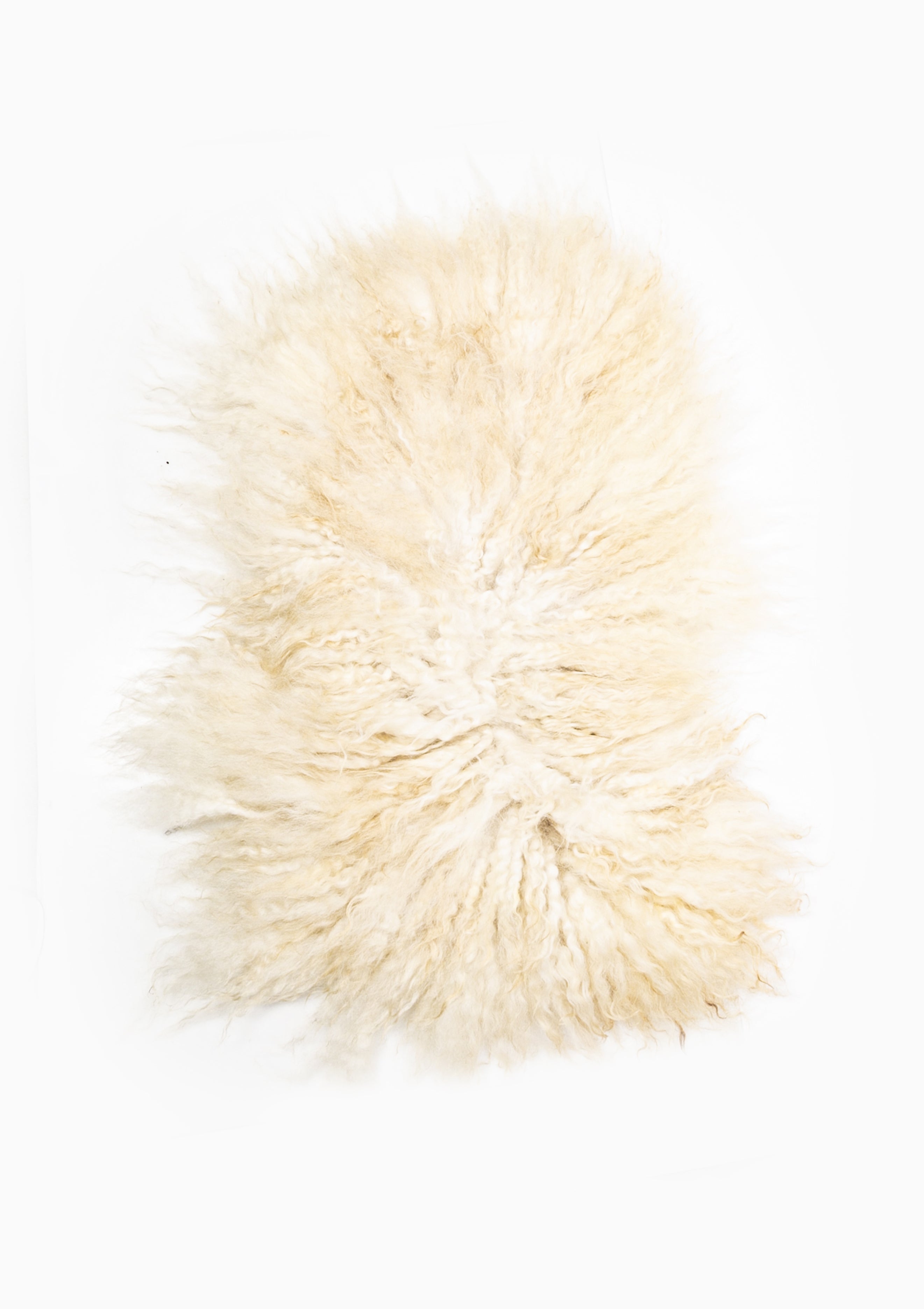 Amber Living Rug 1