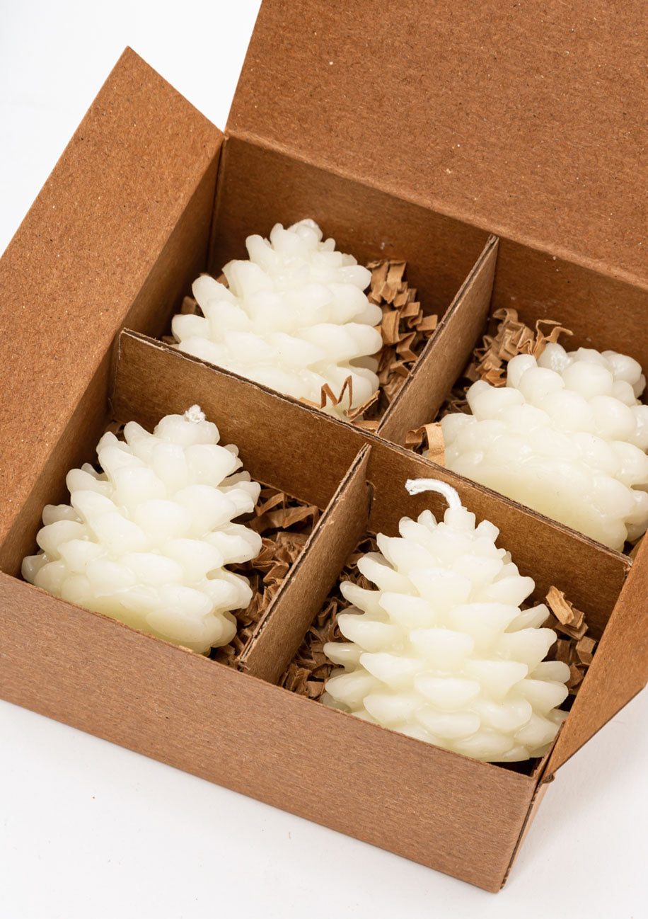 Wee Pine Cones Set | Cream
