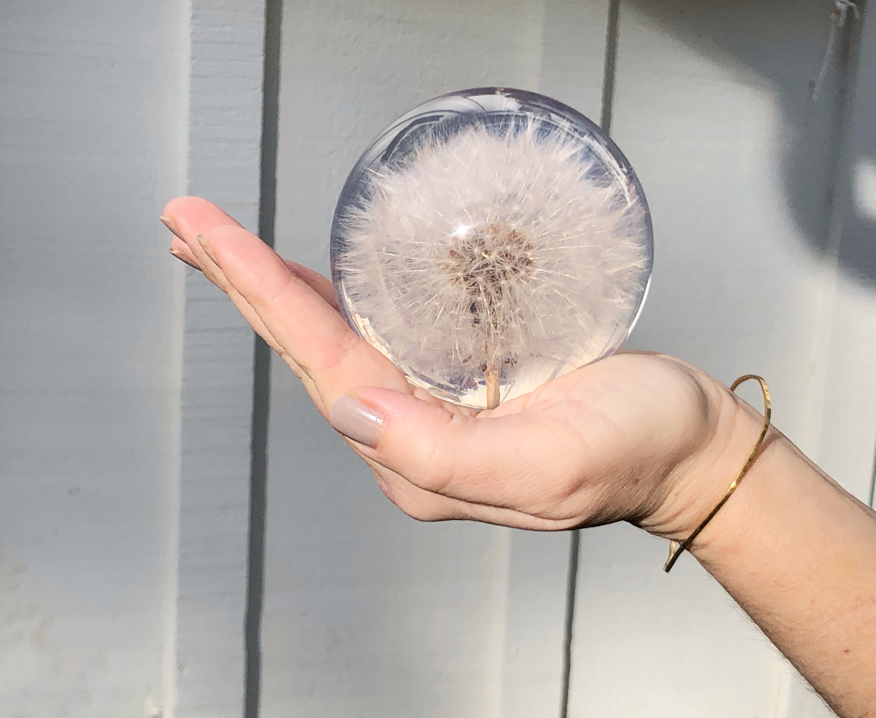 Dandelion Large Paperweight