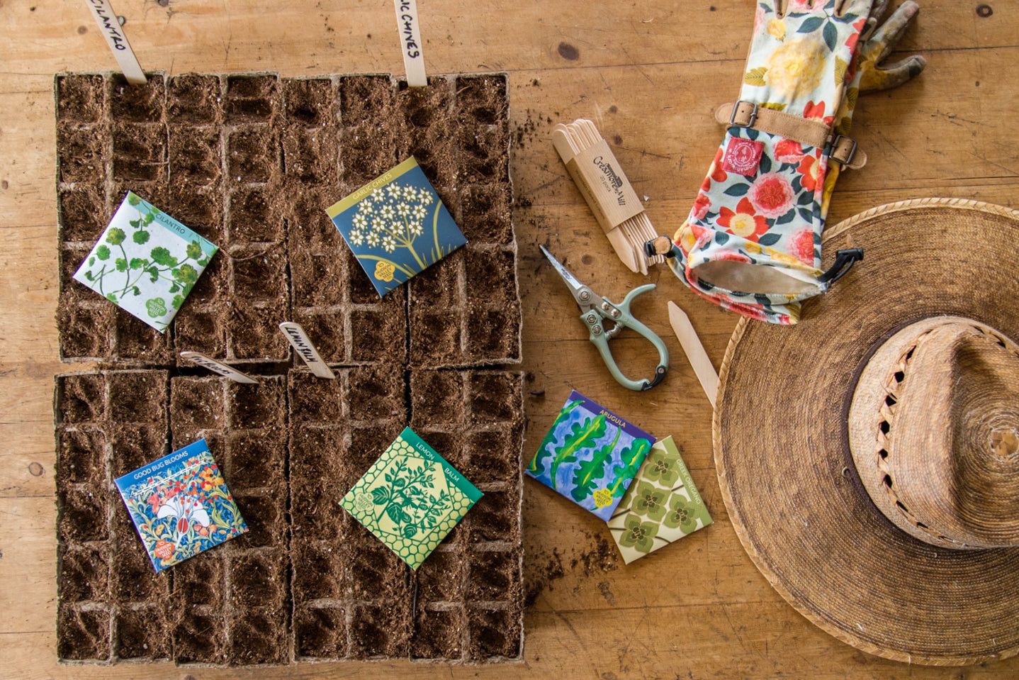 Greek Oregano Seed Pack