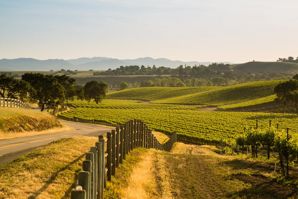 Caroline's Country Guide To The Santa Ynez Valley