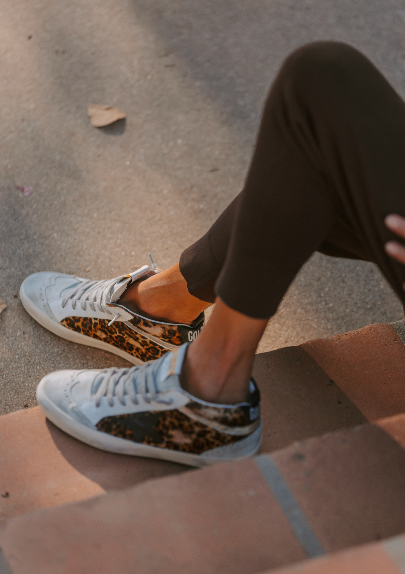 Mid Star Sneaker Leopard Print Pony