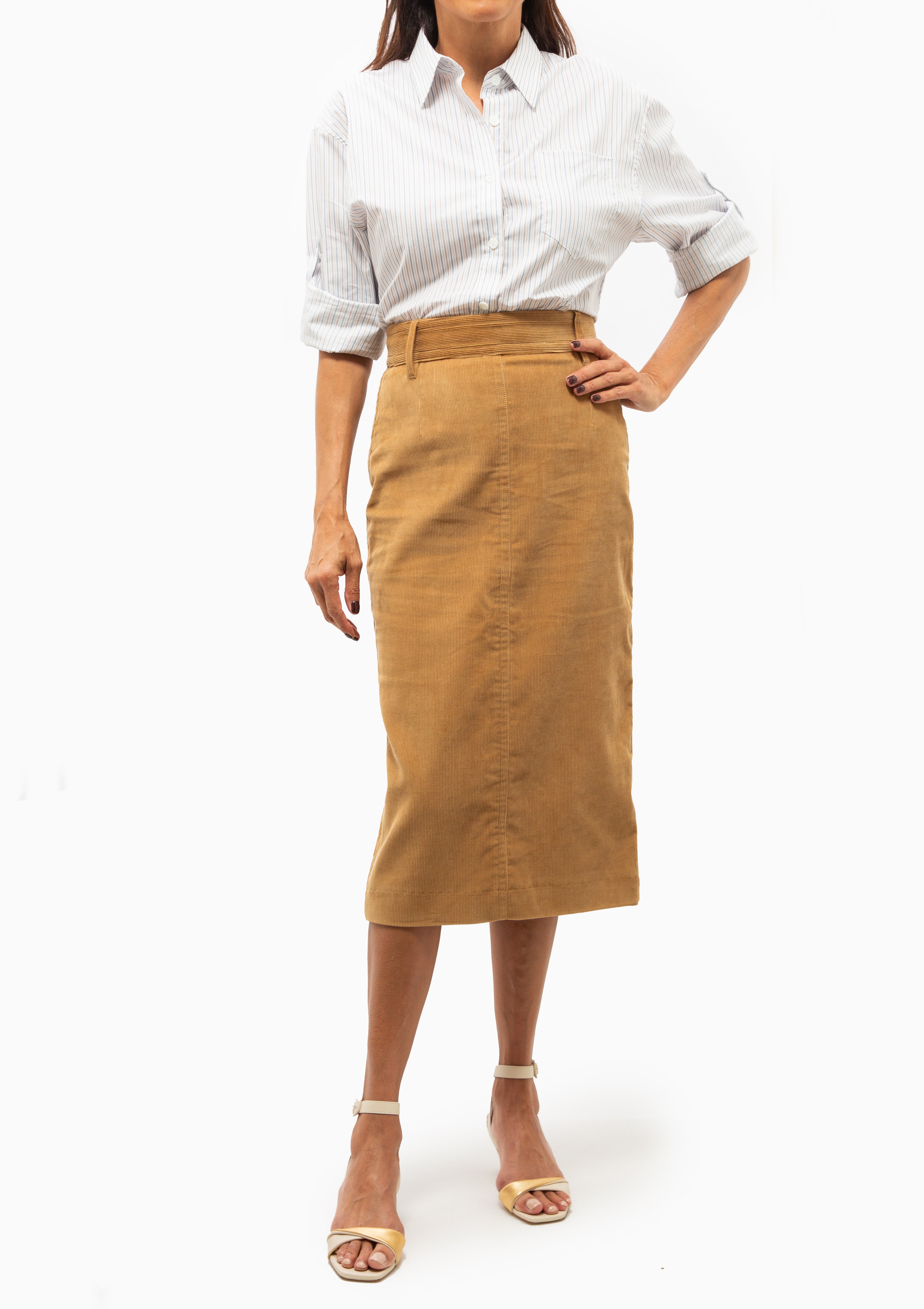 Button Sleeve Crop Shirt | White/Blue/Brown Stripe