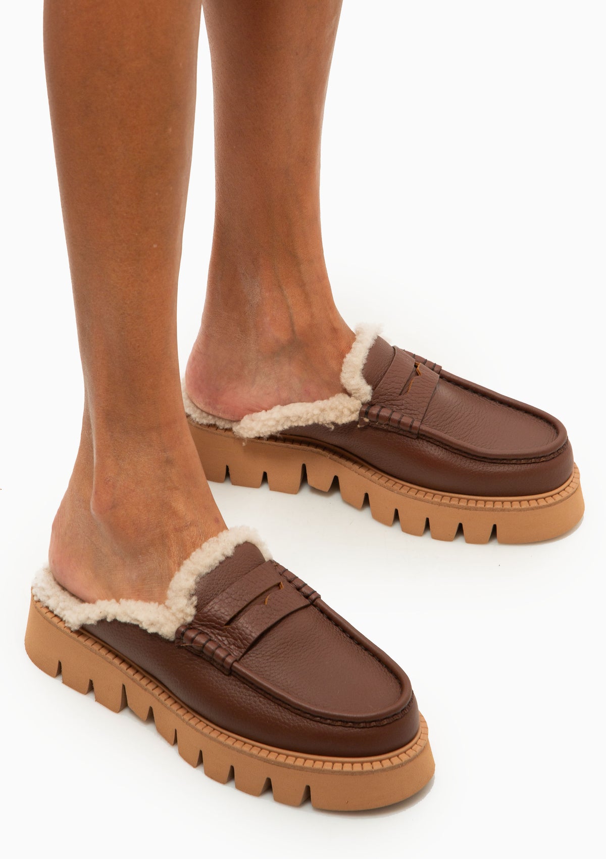 Savy Mule | Chestnut Cervo