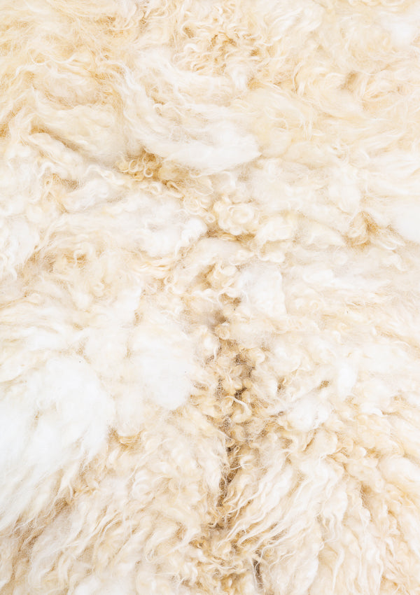 Aurora Living Rug