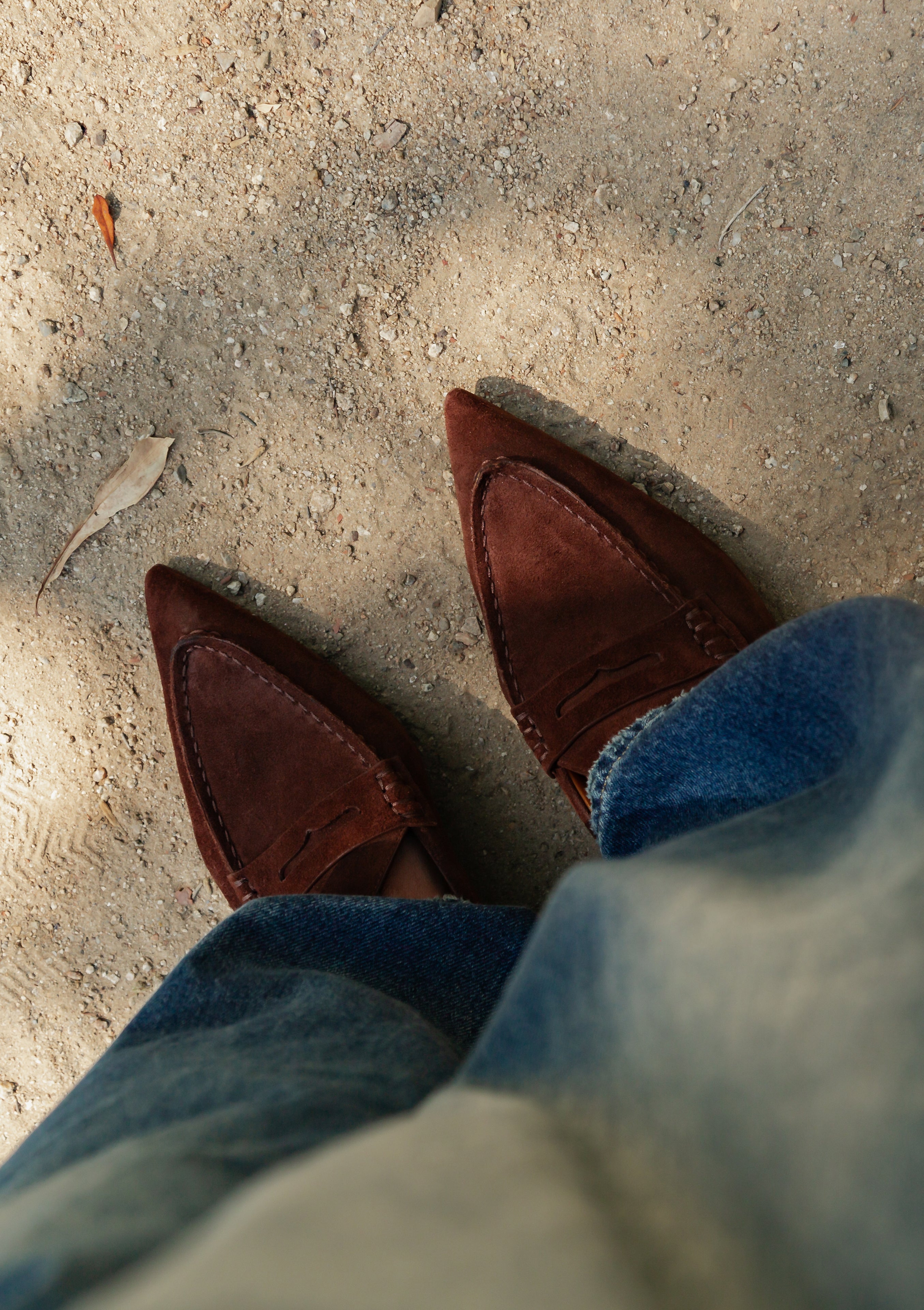 Pointed Toe Loafer | Brown Suede