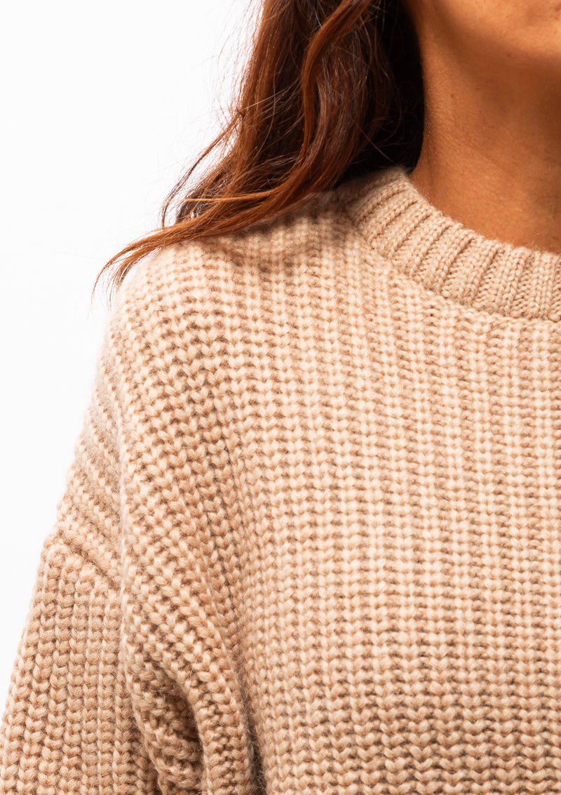 Anine bing sales rowe hoodie camel