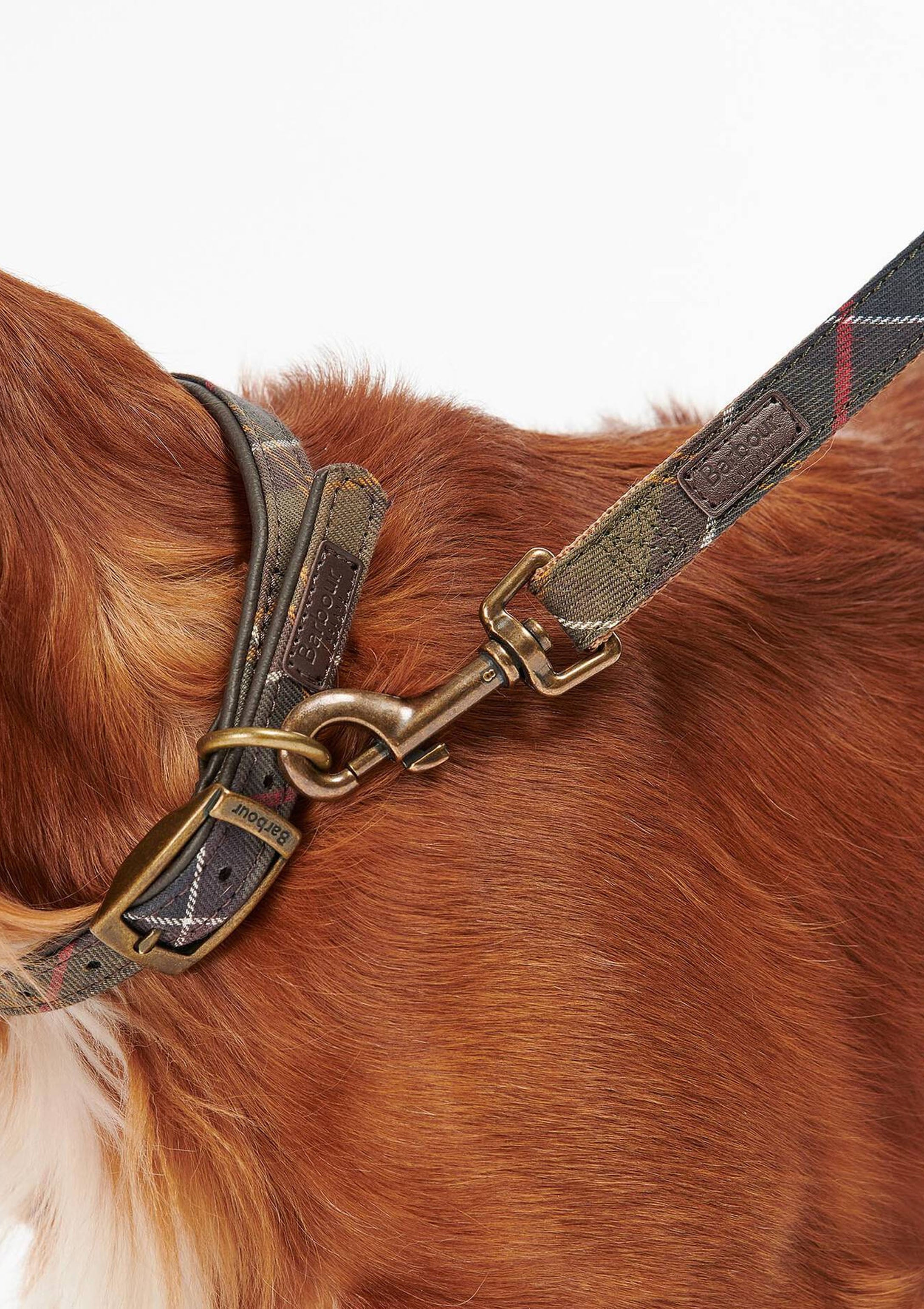 Tartan Webbing Dog Lead | Classic Tartan