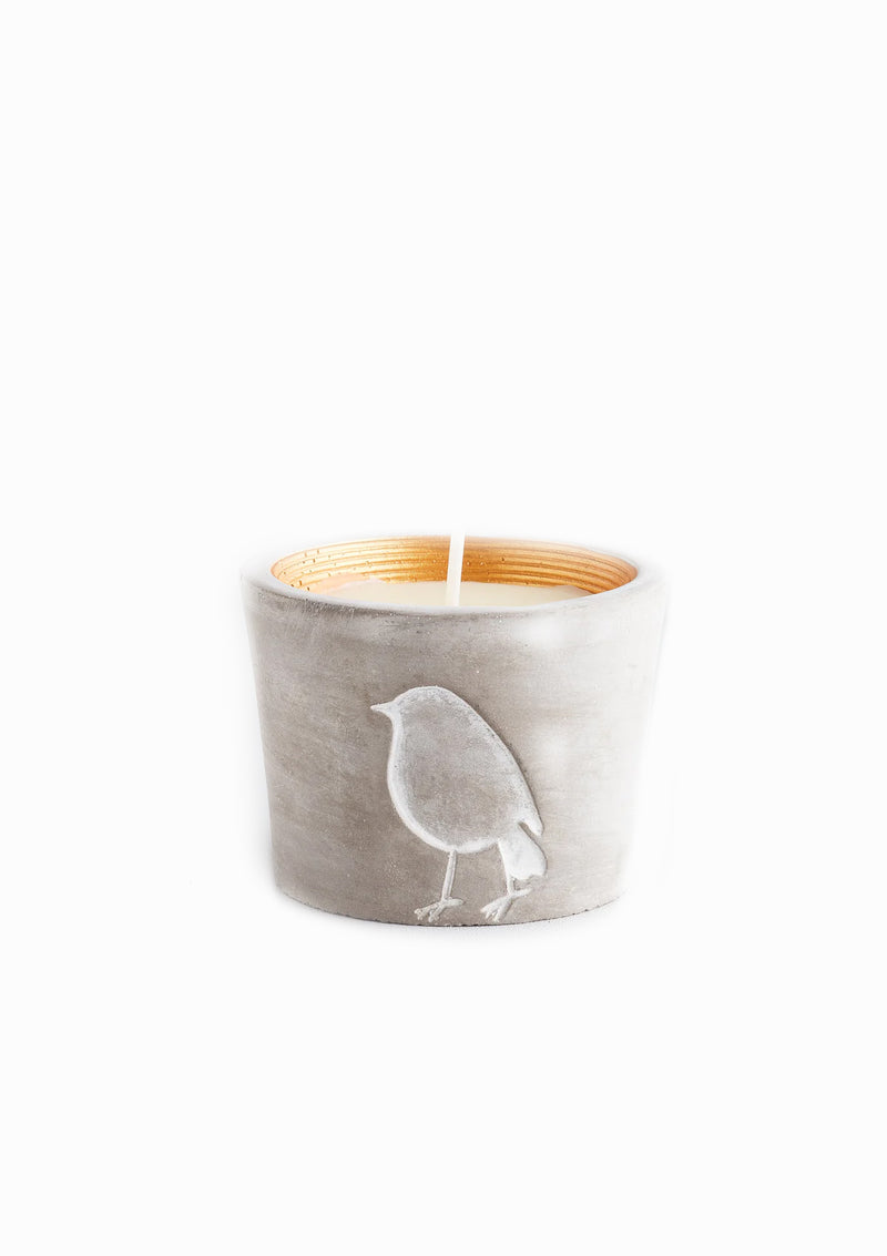 Christmas Robin Pot | Inspiritus