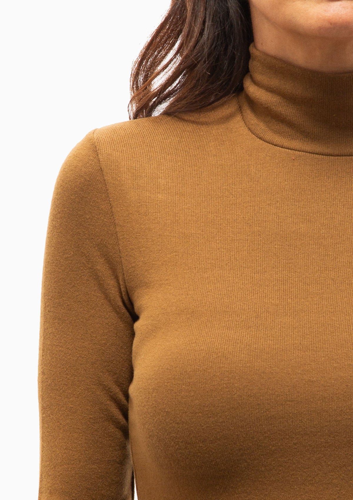 Lauren Long Sleeve Turtleneck | Tortoise