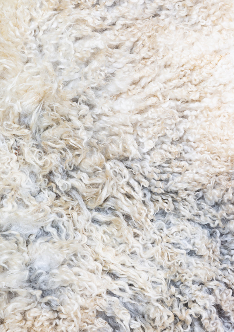Gwyn Living Rug