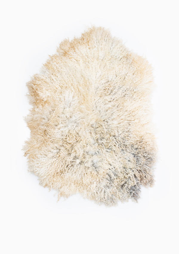 Gwyn Living Rug