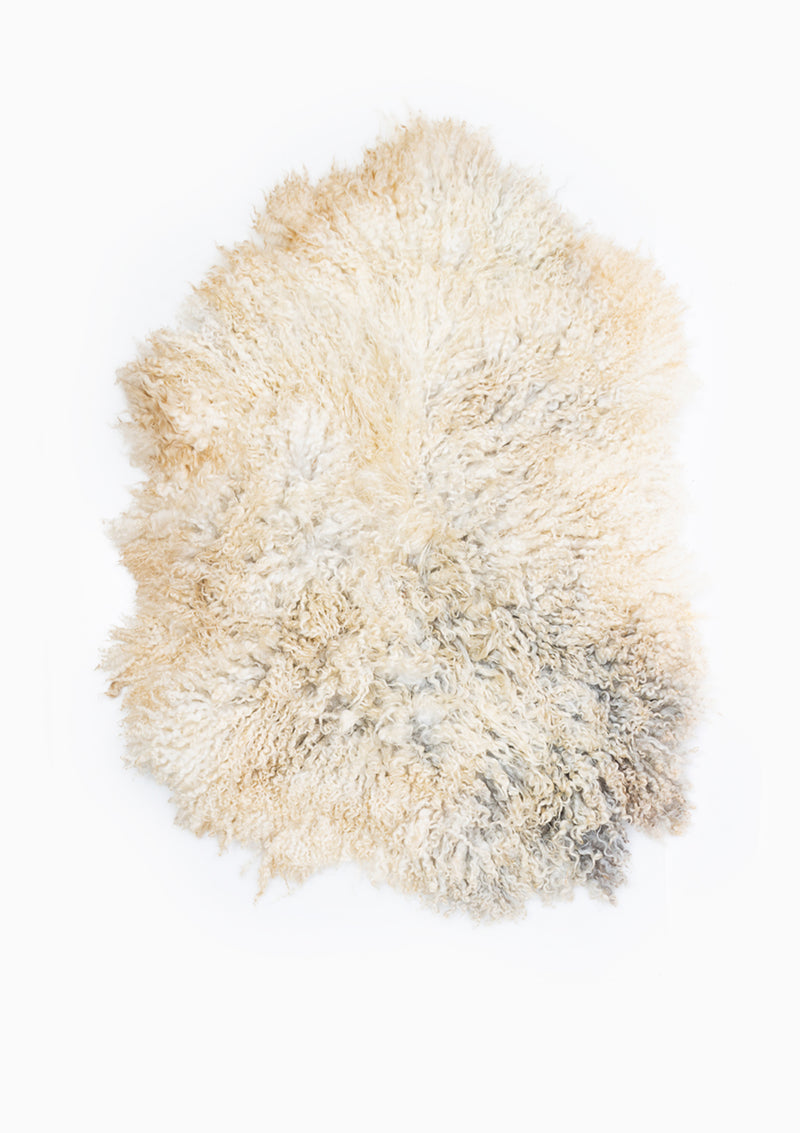 Gwyn Living Rug