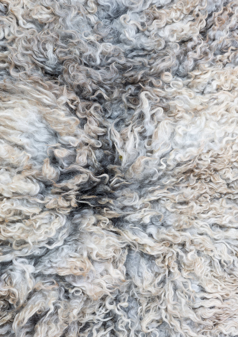 Noah Living Rug