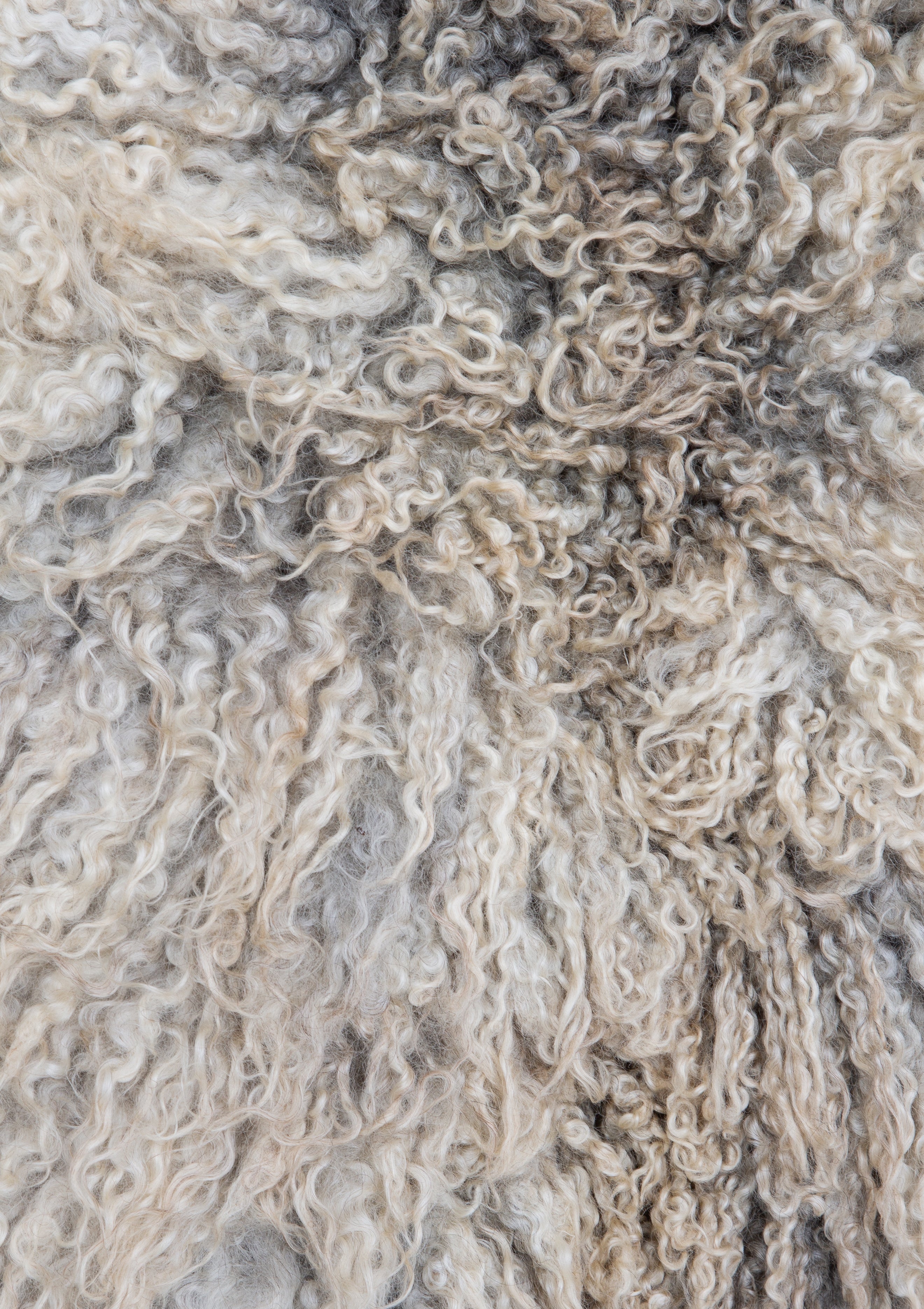 Theo Gotland Living Rug