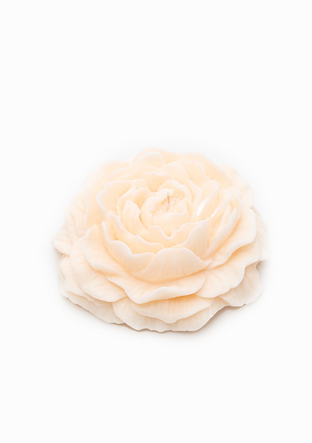 Large Peony Candle | Off White