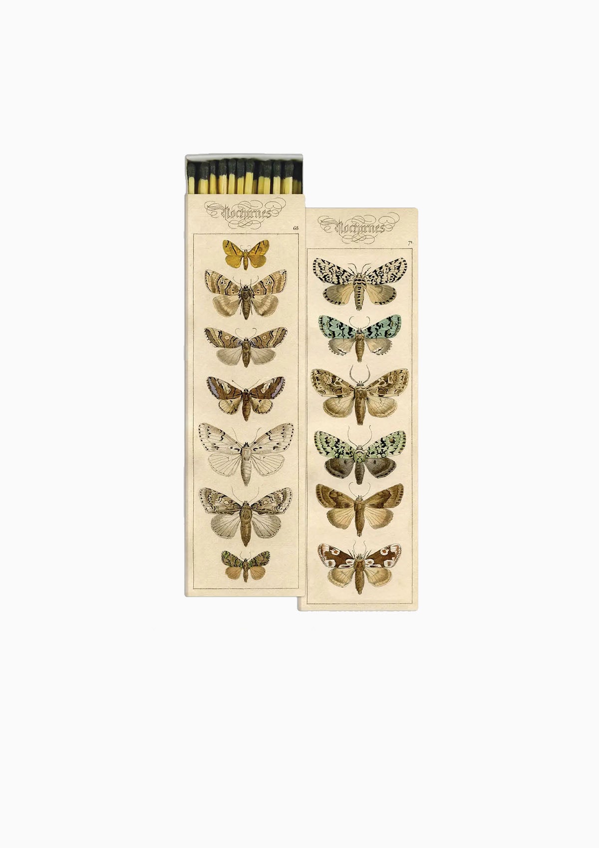 Long Matches | Moths
