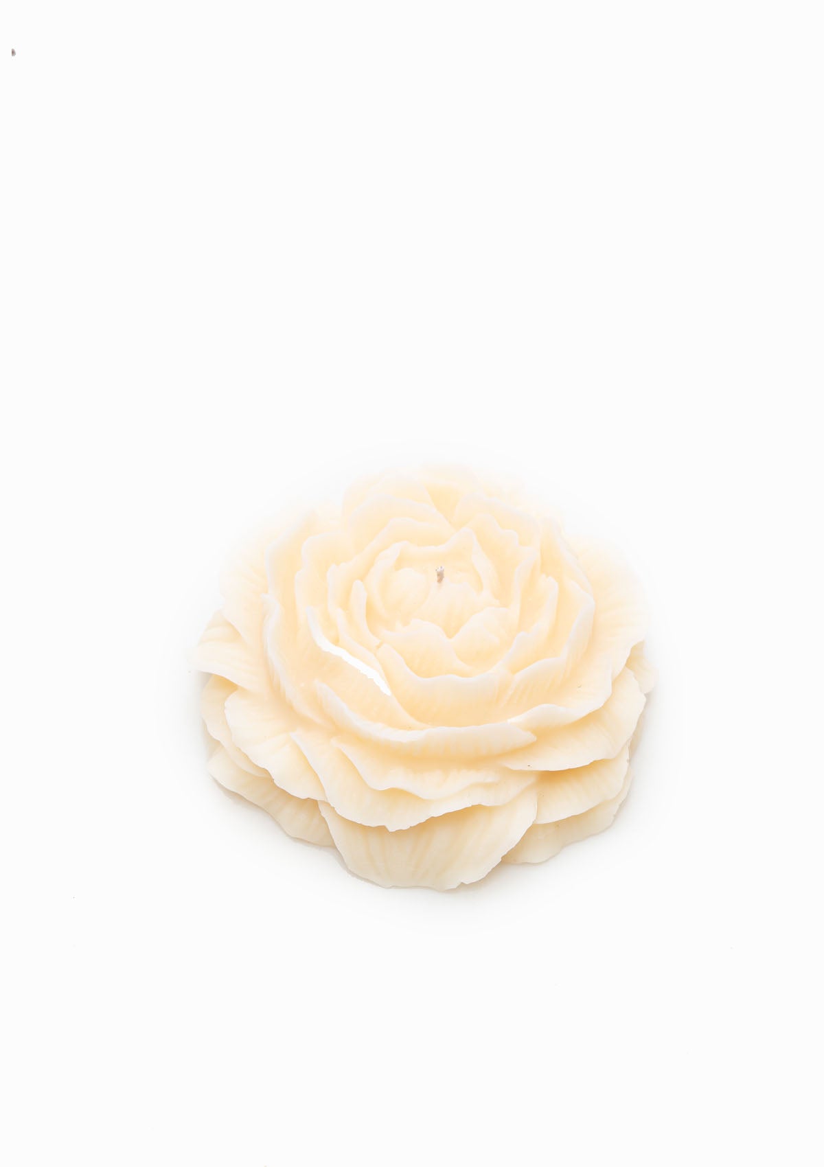 Medium Peony Candle | Off White