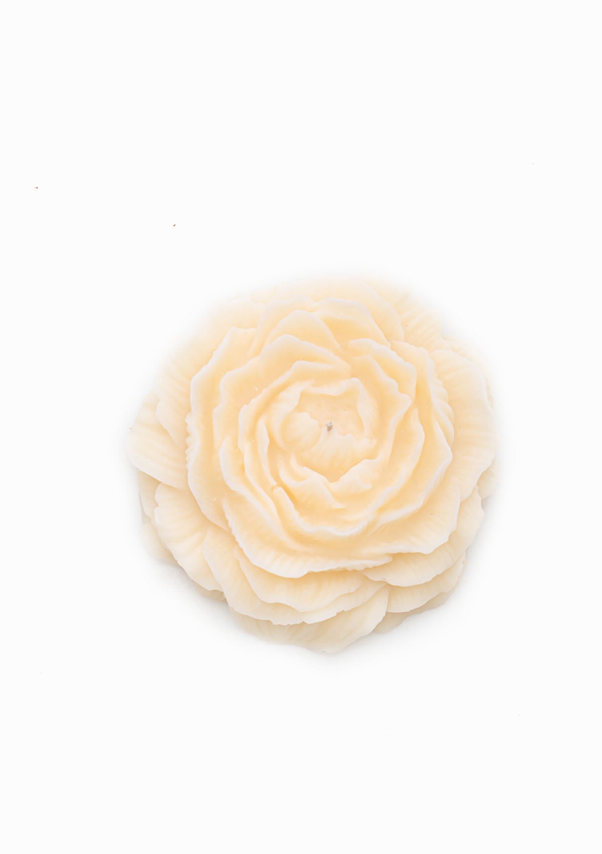 Medium Peony Candle | Off White