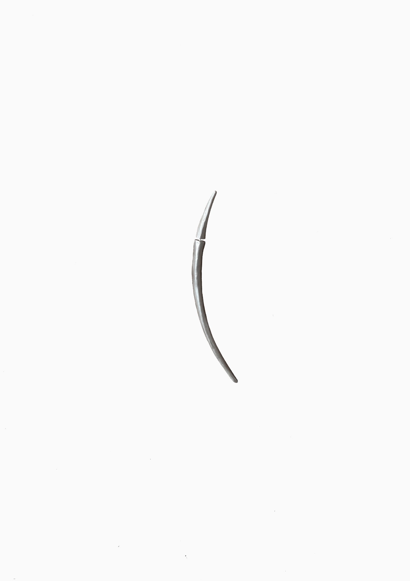 Arc Sprout  Earring | Long