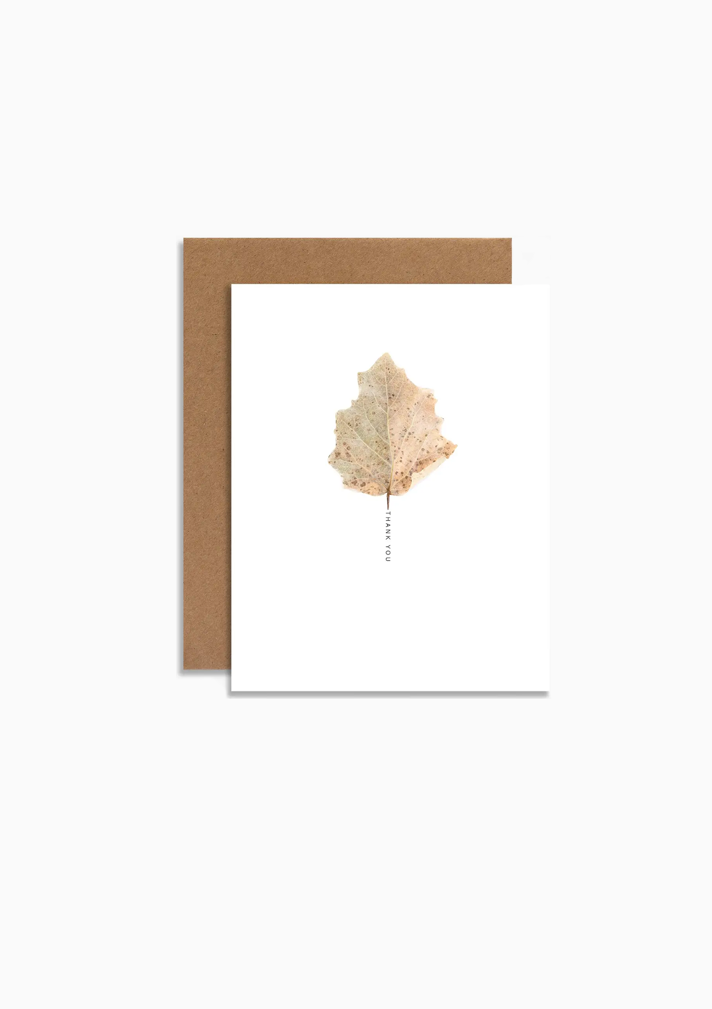 Thank You Leaf Botanical Card Elegant Nature Gratitude Greeting Card