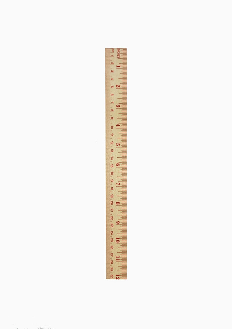 US Presidents Rulers