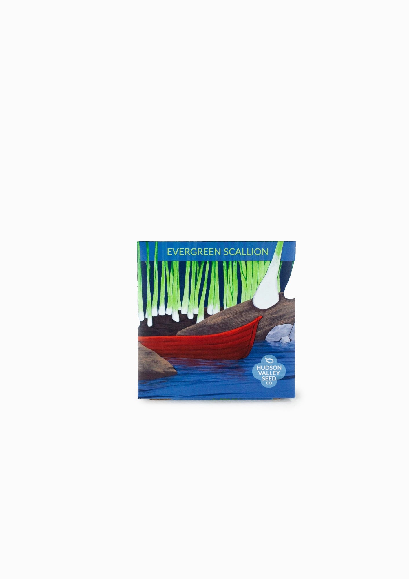 Evergreen Scallion Seed Pack