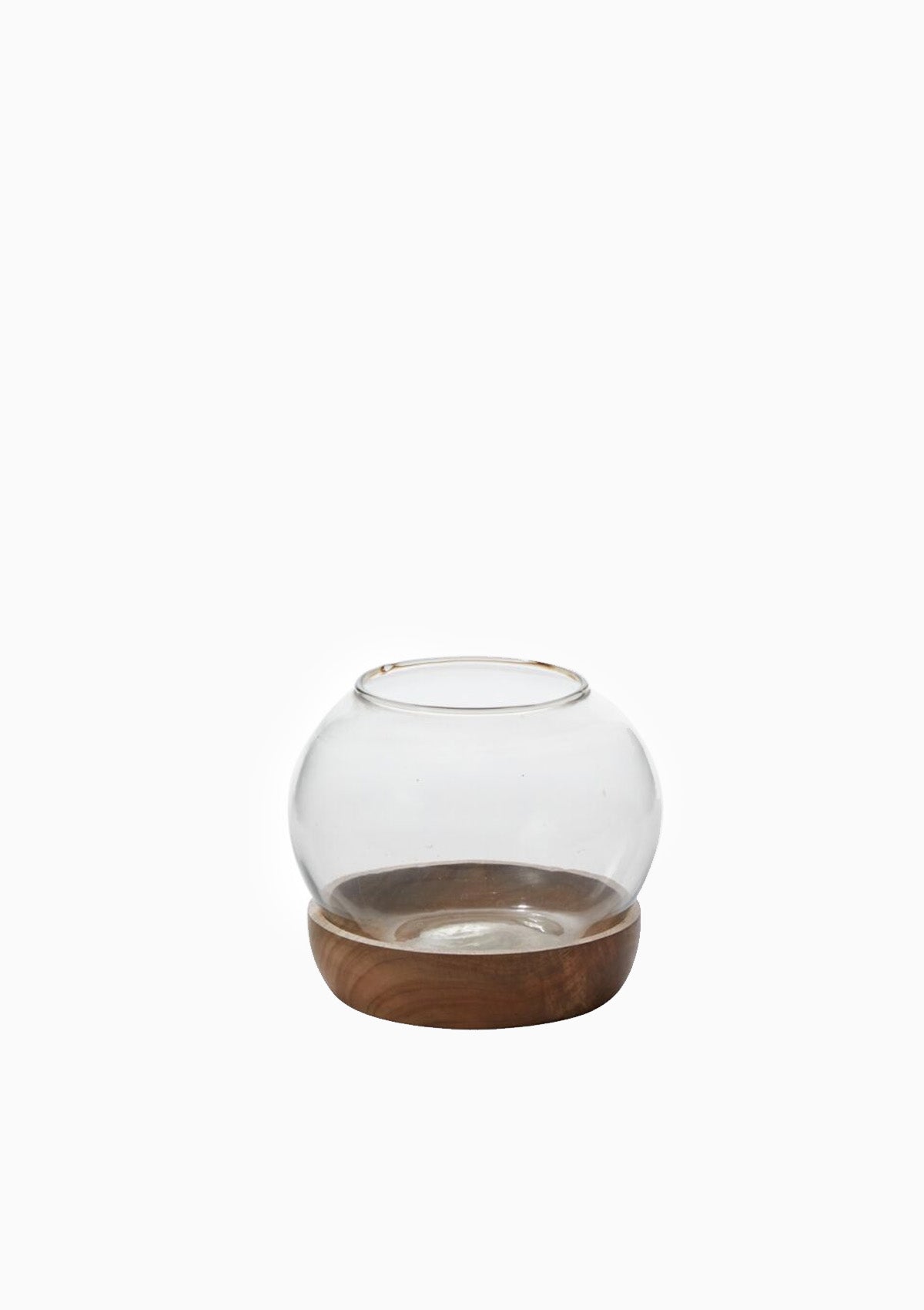 Full View Terrarium | 6.5" x 5.5"