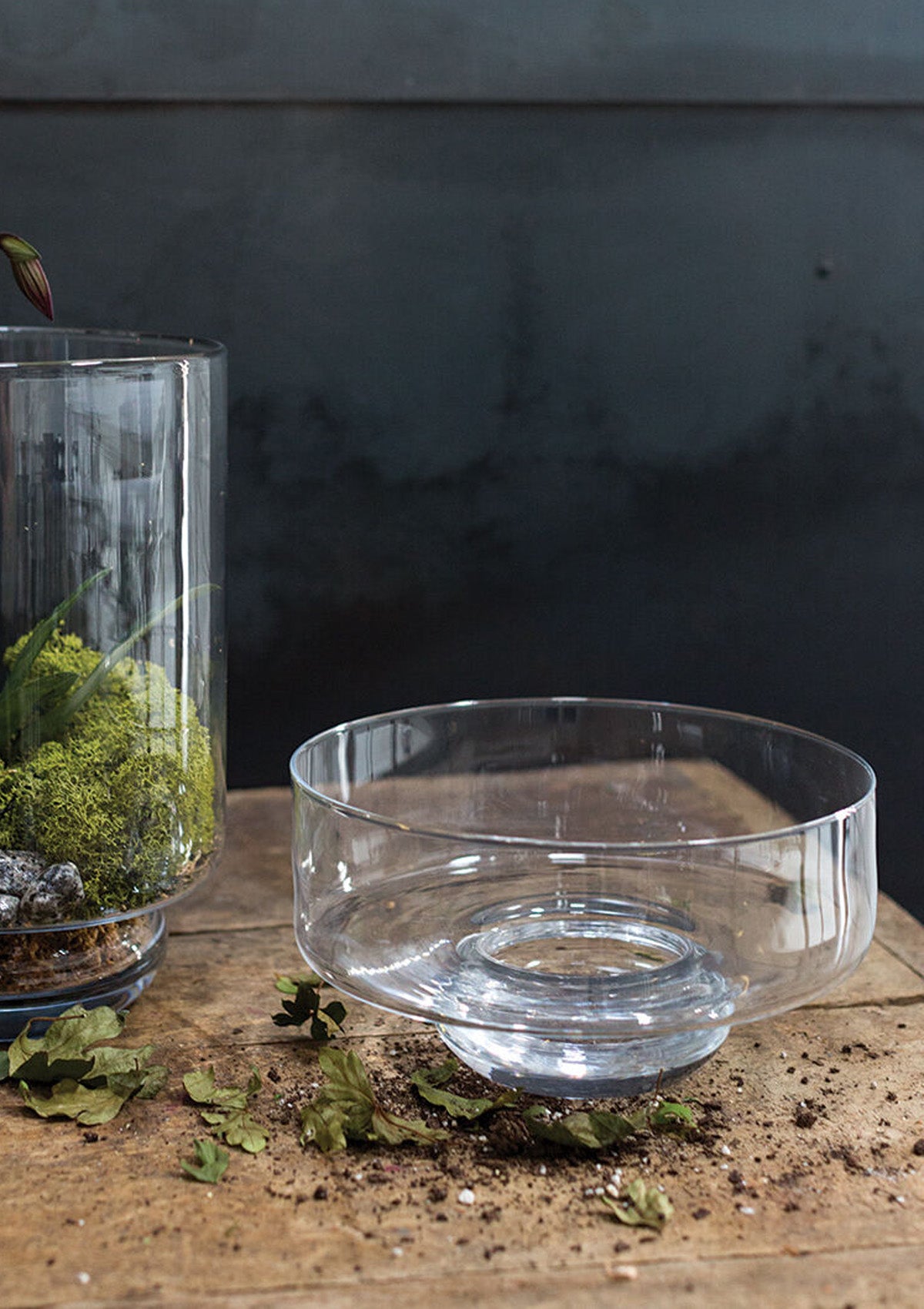 Zurich Compote | 9.5" x 4.25"