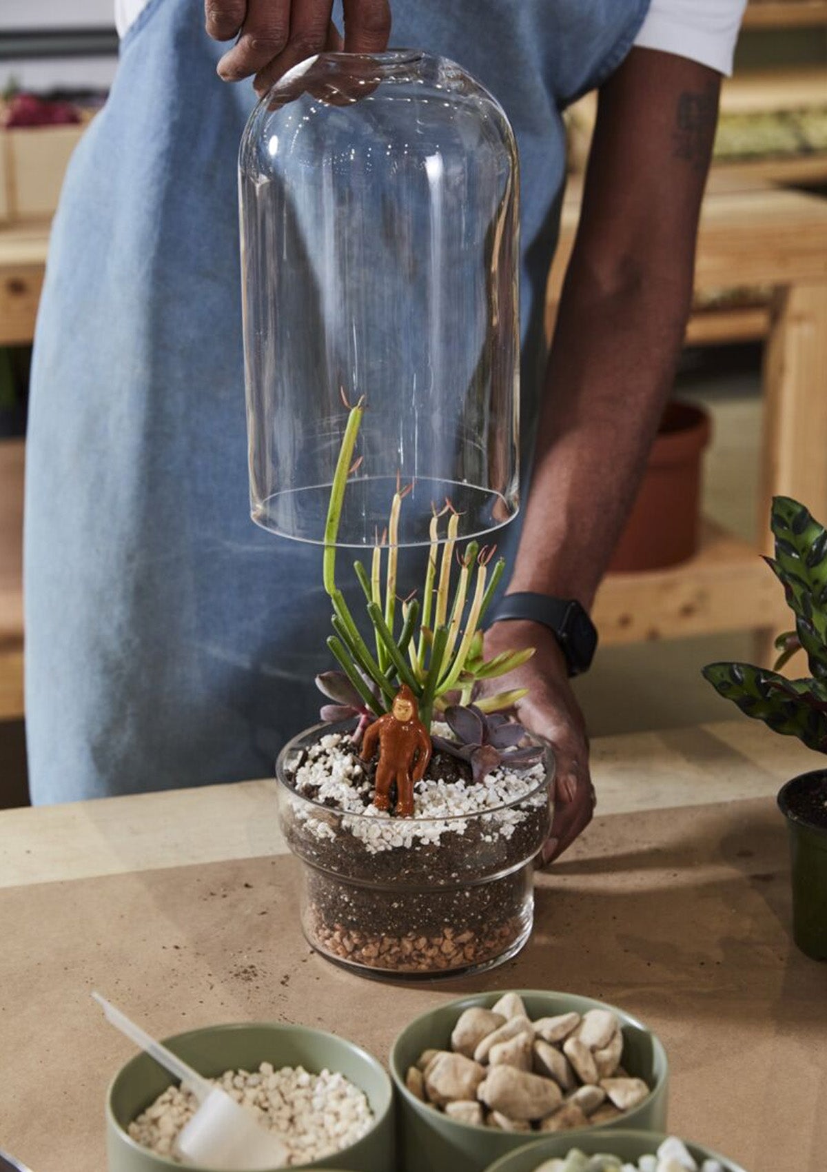 Griffith Terrarium | 6.5" x 12.5"