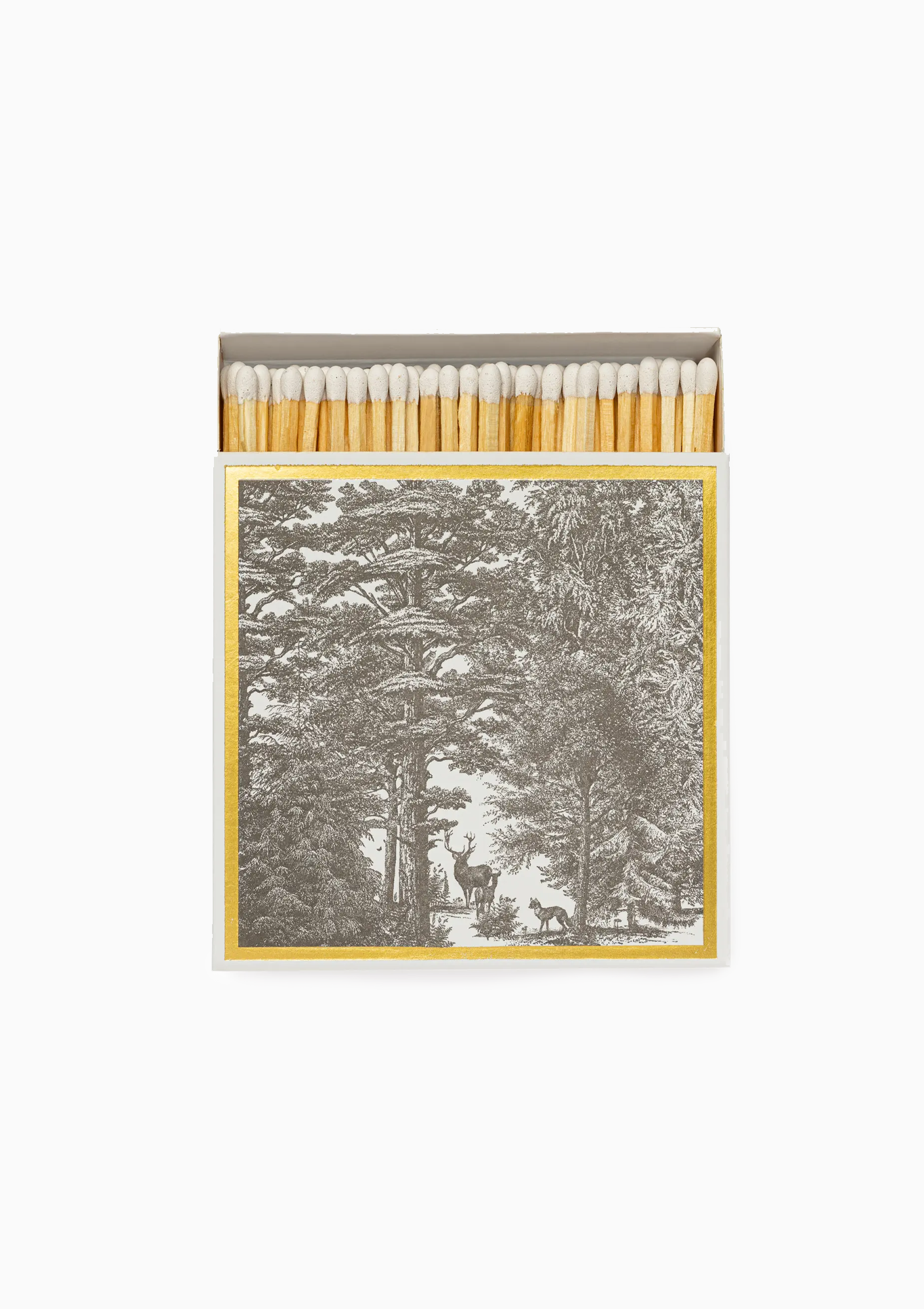 Matches | Enchanted Forest