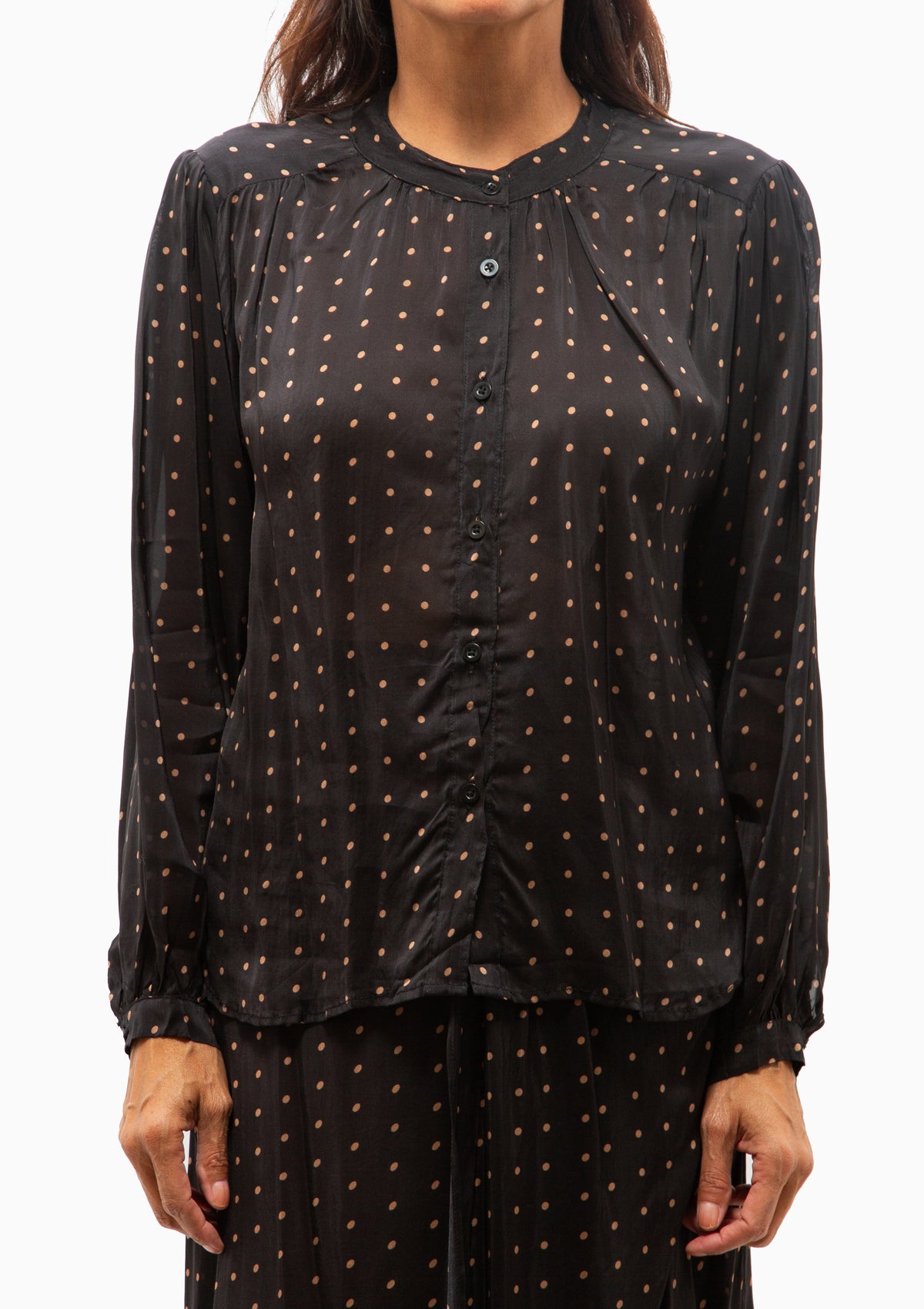Tolan Shirt | Petite Polka Dot Black & Tan