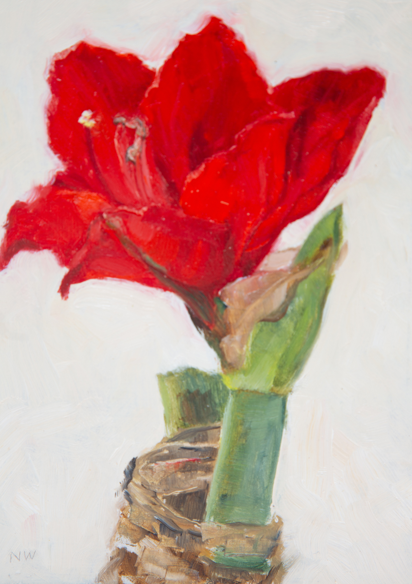 Red Amaryllis Oil Painting On Panel | 7"x5"