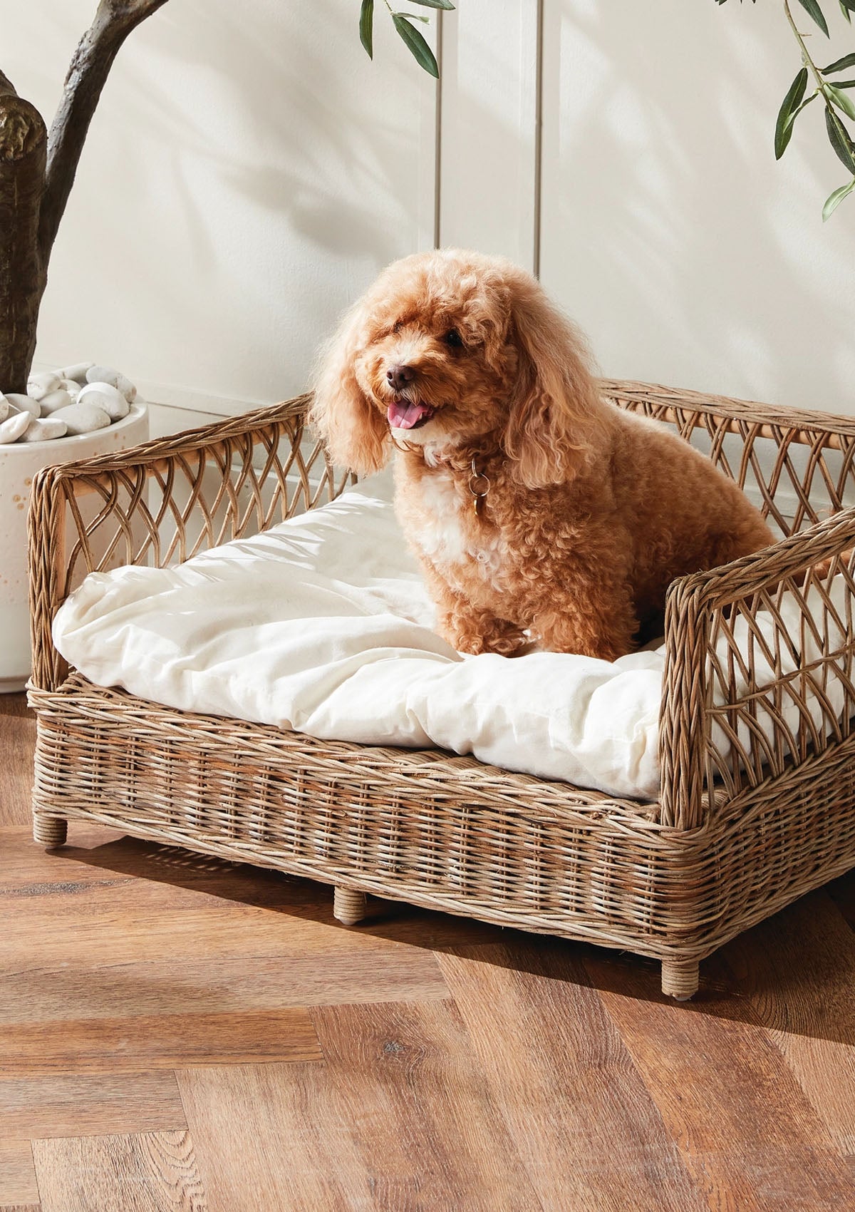 Normandy Rattan Pet Bed Large | Grey