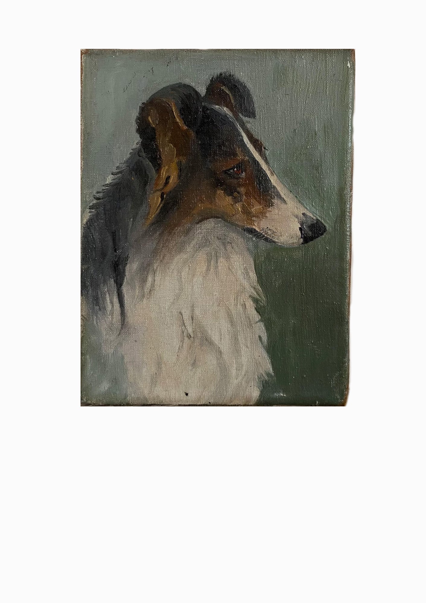 Original Antique Rough Collie Oil Painting | 7.25" x 9.5"