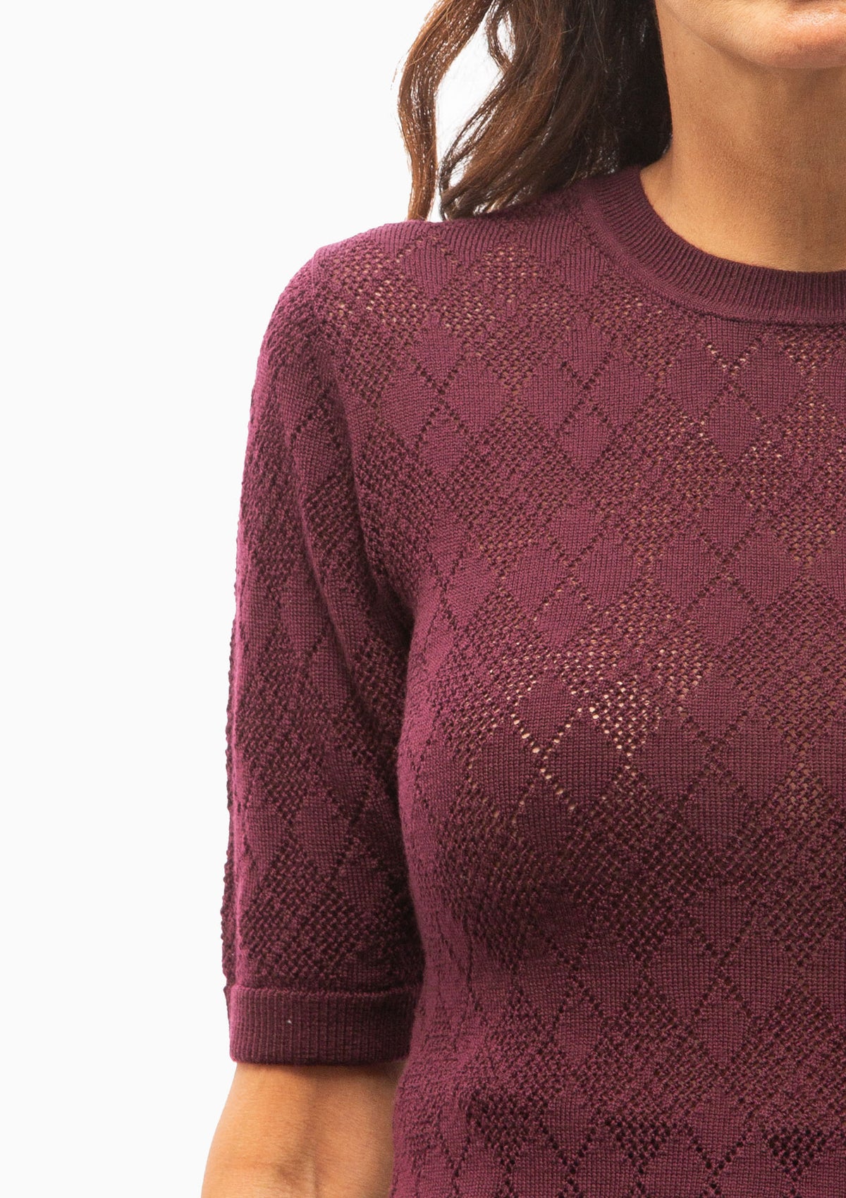 Jane Argyle Short Sleeve Sweater | Burgundy
