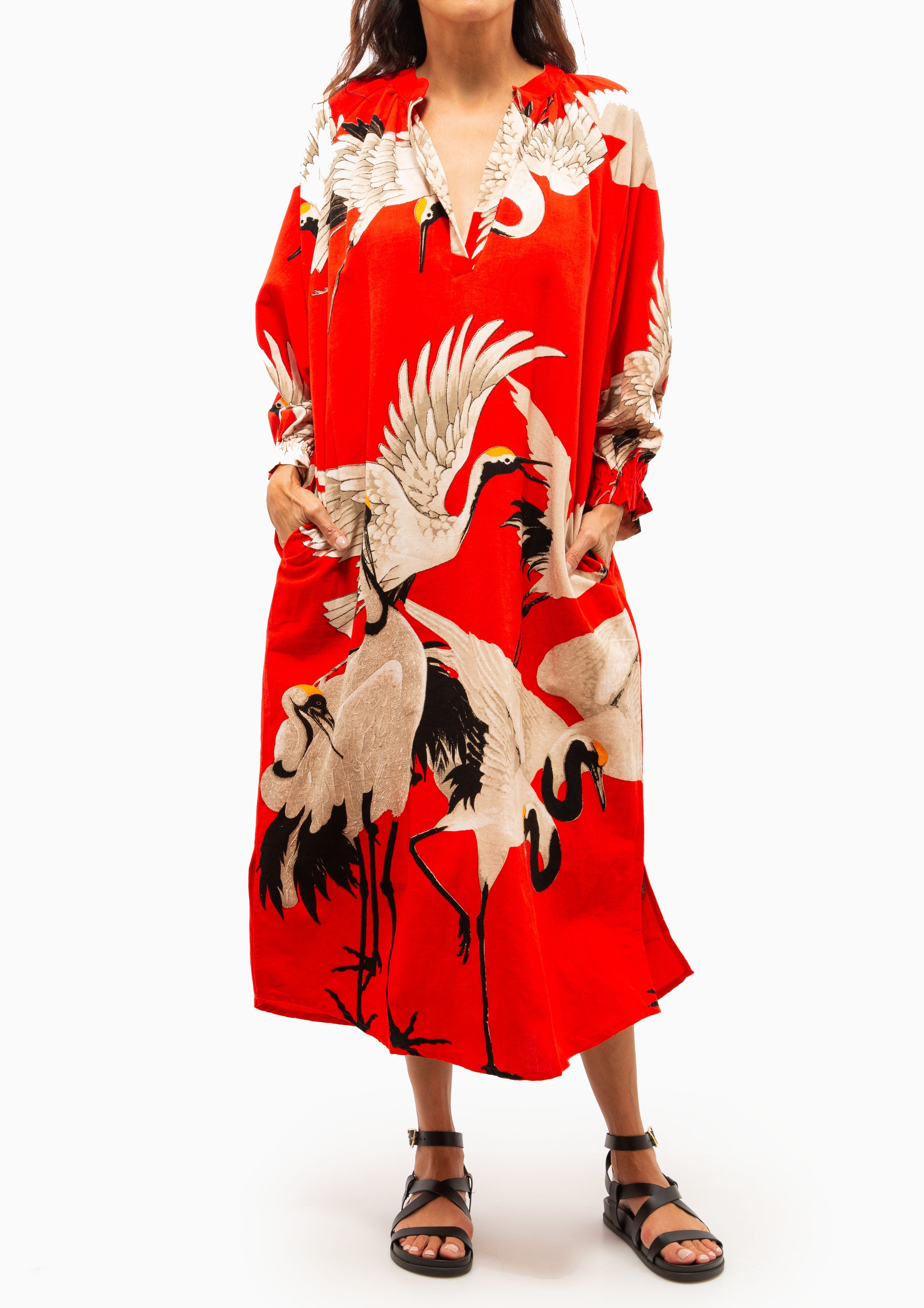 Stork Raglan Dress | Scarlet