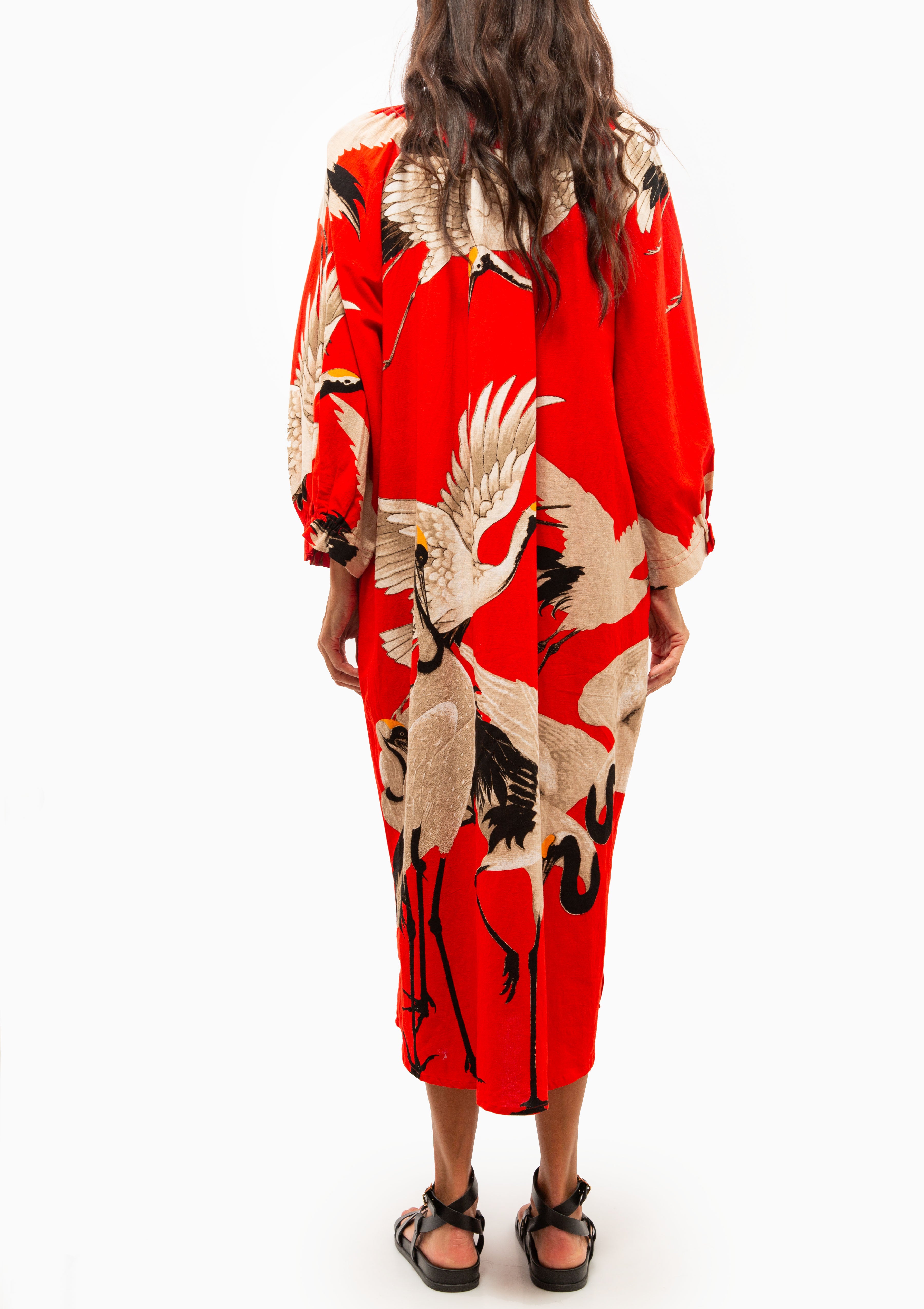 Stork Raglan Dress | Scarlet