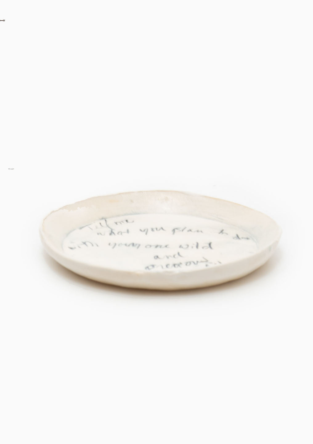 Voluntas Plate | Mary Oliver Quote
