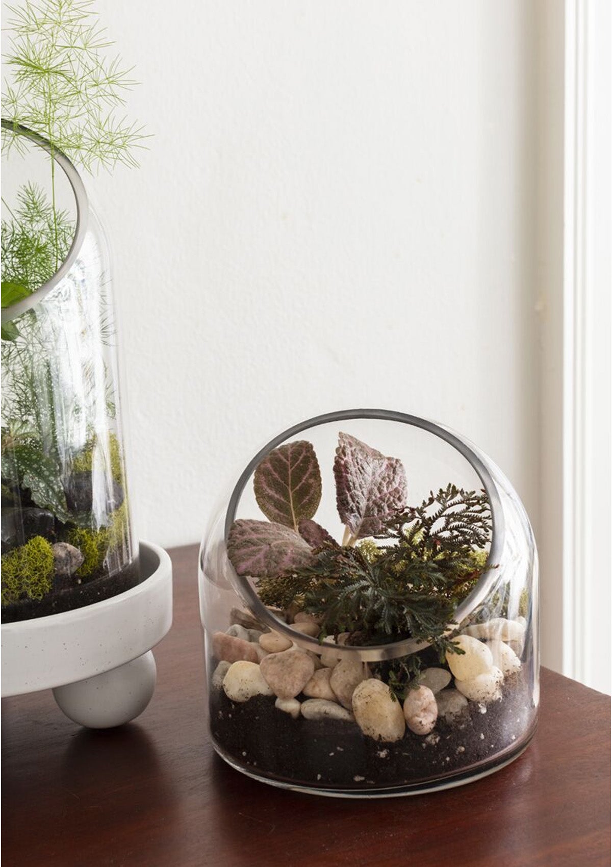 Warner Terrarium | 5.75" x 5.75"