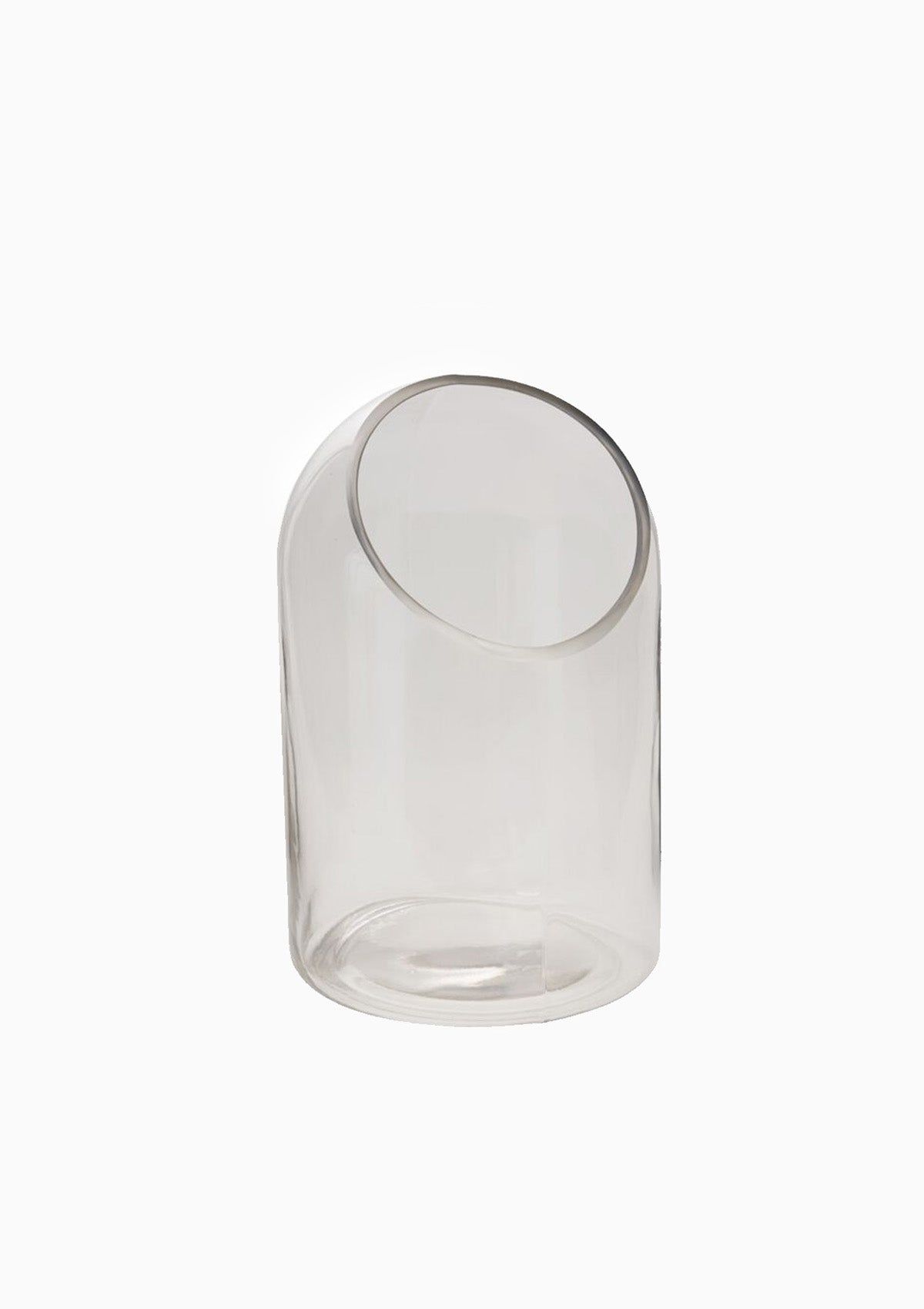 Warner Terrarium | 5.75" x 9.25"
