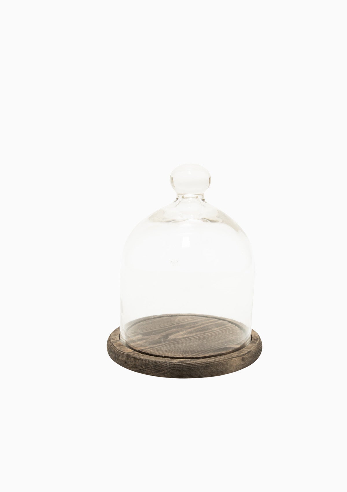 Glass Cloche With Wood Base | Tall