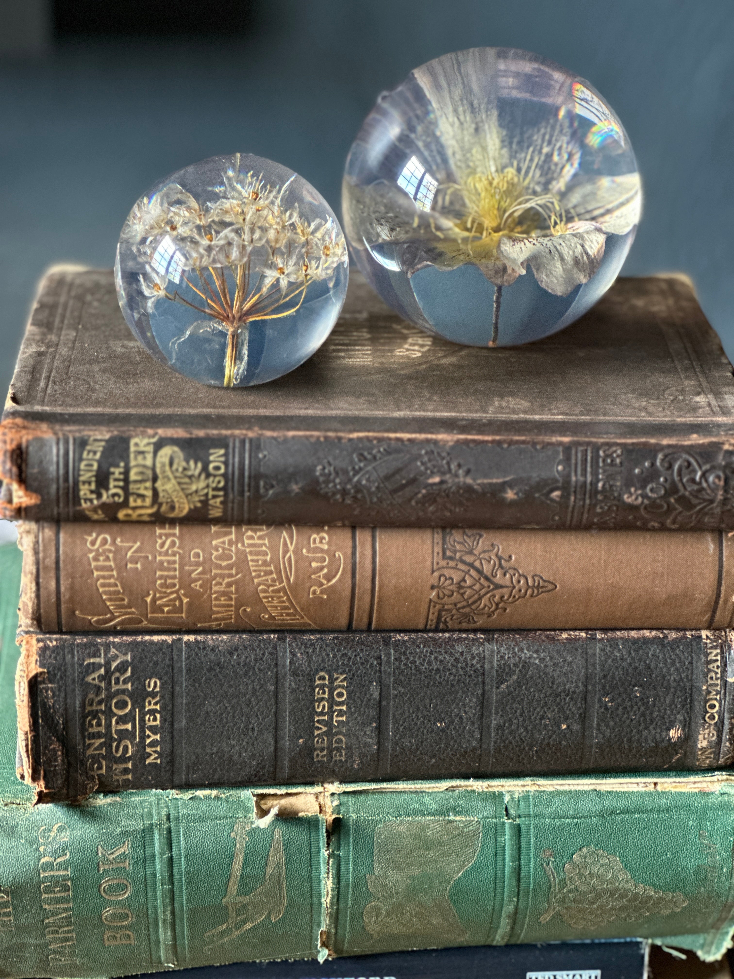 Garlic Small Paperweight