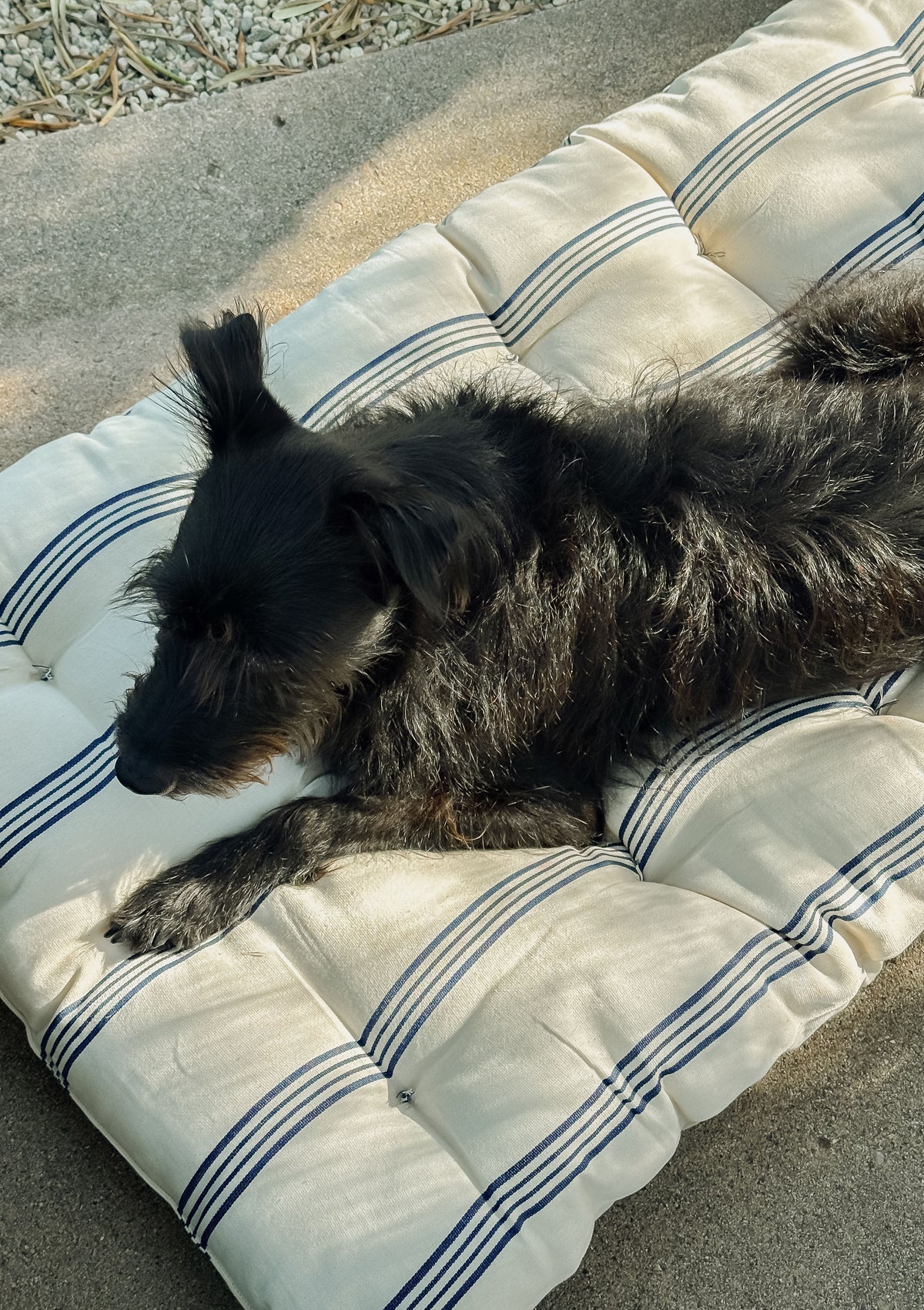 New Large Pet Bed, Navy/Ecru Thin Stripe | 24" x 42"